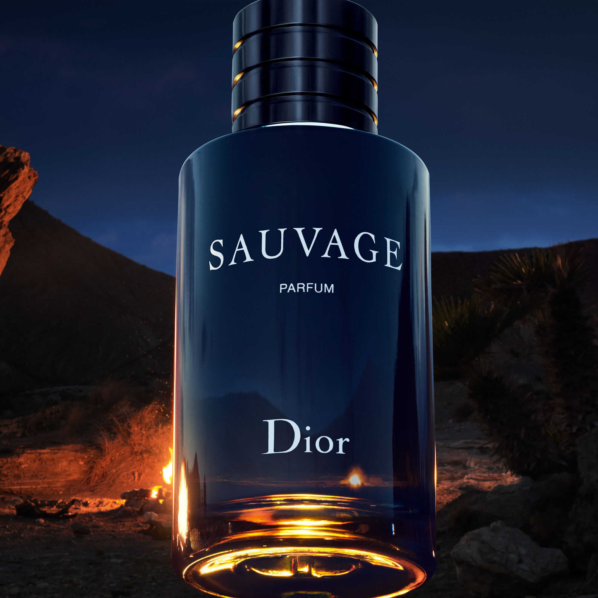 Sauvage Dior Parfum - Sephora